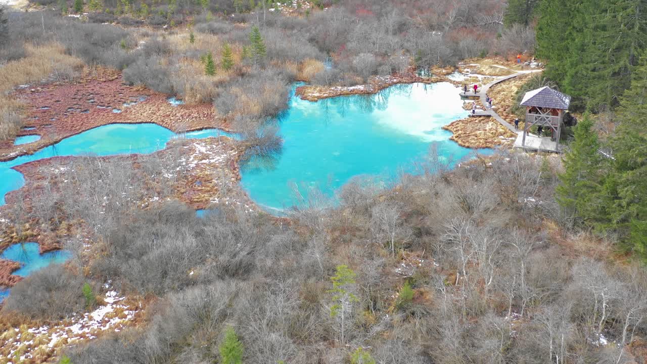 Group of tourists at Zelenci natural reserve, Kranjska Gora. Aerial
