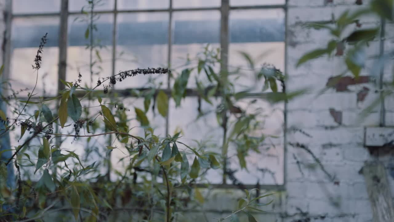 버려진 공장의 근접 촬영