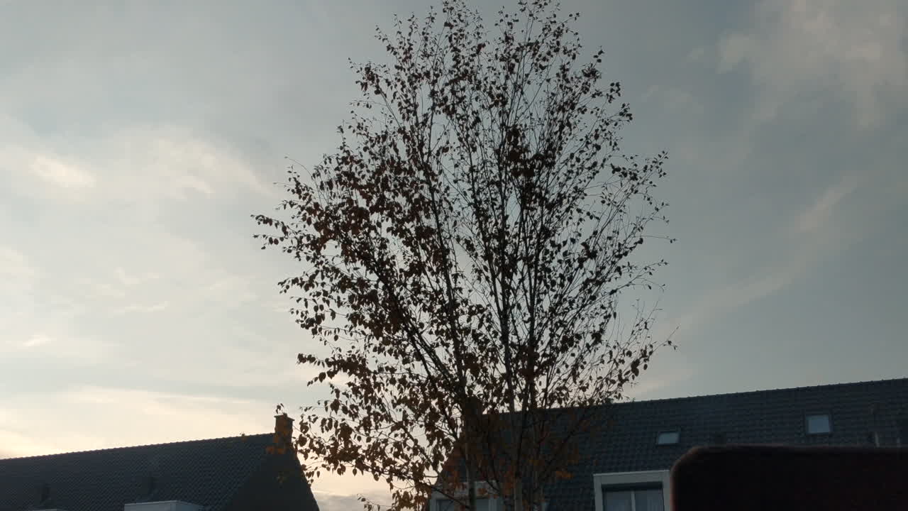 Contrail through the sky in the south of Netherland, captured on timelapse