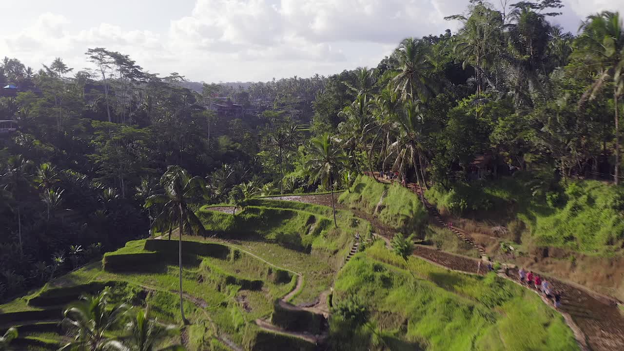 vista aérea de las enormes terrazas de arroz en la ladera de la colina