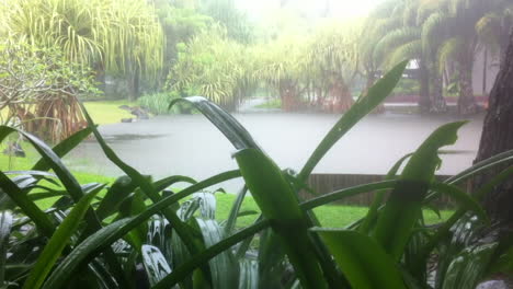 Tropical-rain-in-park-Singapore