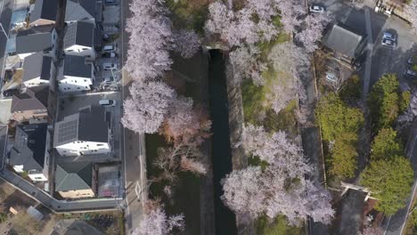 biwako canal and neighborhood of otsu, shiga prefecture, aerial view japan