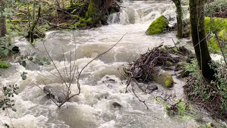 Nahaufnahme-Des-Wasserlaufs-In-Einem-Bach-Im-Winter-Mit-Ziemlicher-Kraft-Aufgrund-Der-Regenfälle.-Wir-Sehen-Mitgeschleifte-Stöcke-Und-Organische-Stoffe.-Es-Gibt-Ufervegetation.-Das-Video-Ist-In-Zeitlupe-In-Avila,-Spanien.