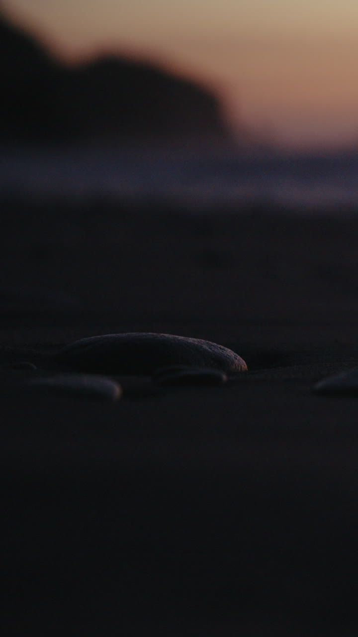 escena de la playa al atardecer
