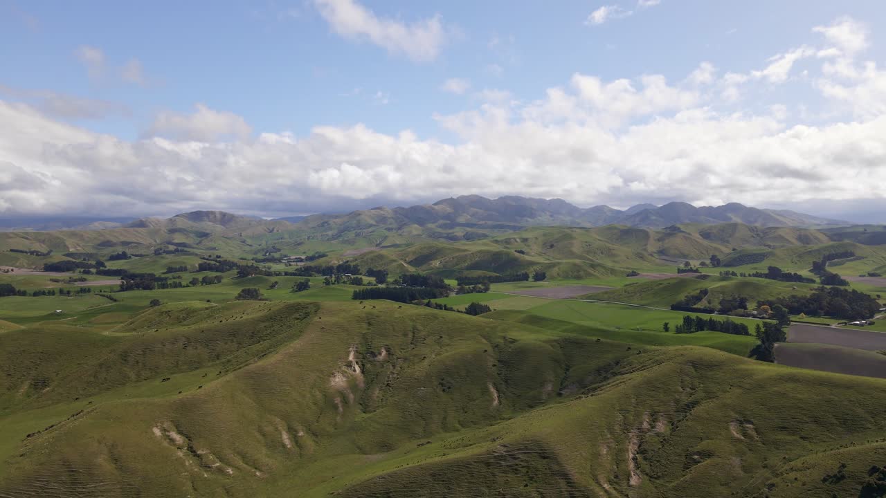 interminables colinas ondulantes de marlborough, nueva zelanda bajo un sol brillante