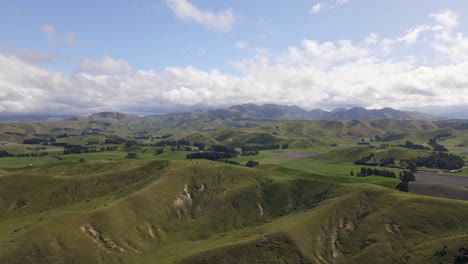 endless rolling hills of marlborough, new zealand in bright sunshine