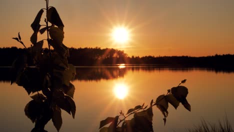 golden sunset by the lake