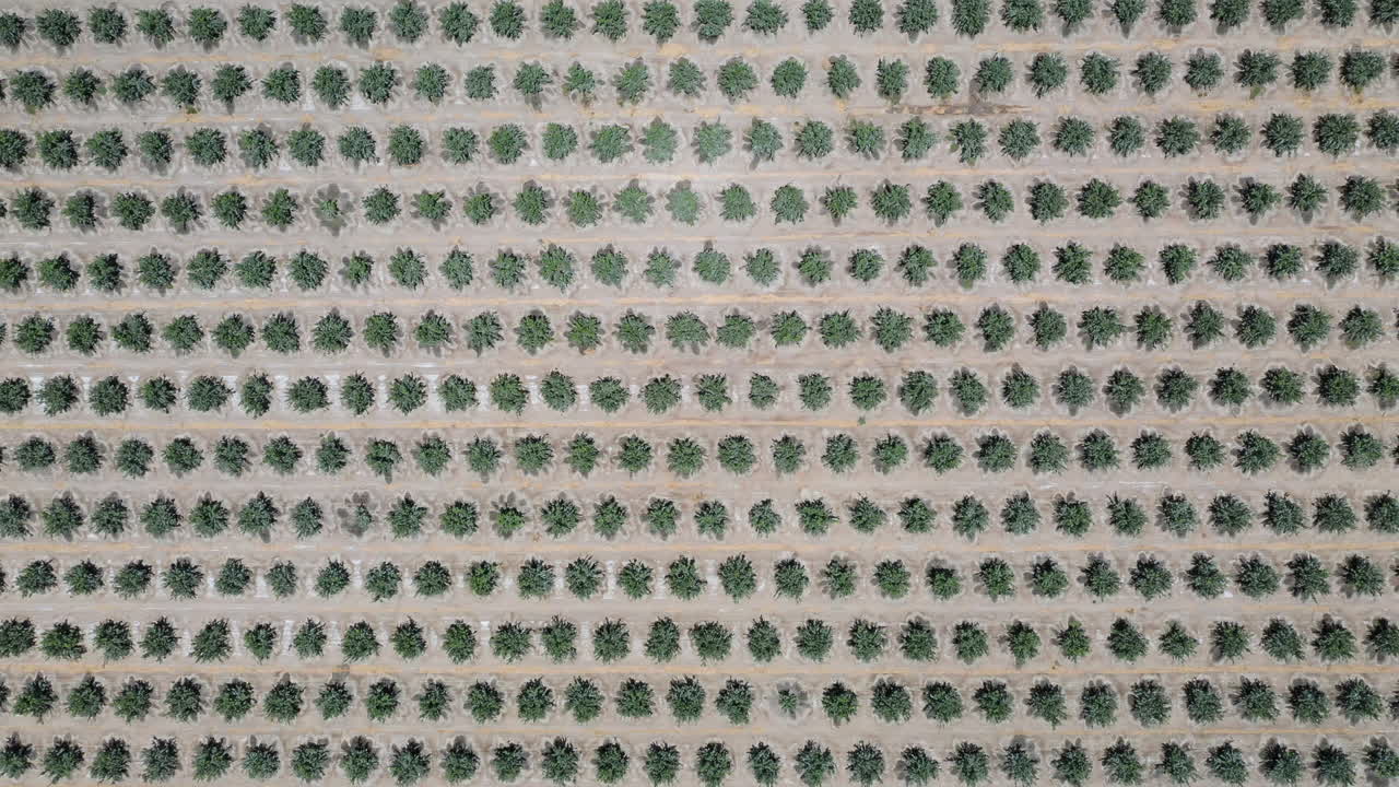 drone captura una toma aérea en sentido contrario a las agujas del reloj de palm springs, california, cerca de los ángeles