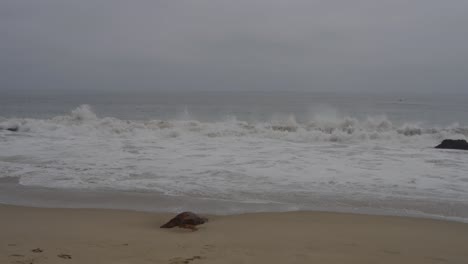 powerful waves crash onto the sandy shores of malibu, showcasing the dynamic energy of the pacific ocean against a peaceful, overcast sky