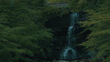 Forest-stream-with-bridge-and-waterfall,-covered-by-trees,-rocks-in-stream