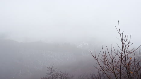 a beautiful nature video of a snowy mountain, bushes, trees and misty clouds and fog during winter on the vitosha mountain in sofia, bulgaria