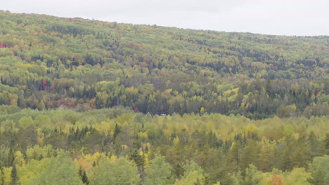 aerial of flying over a beautiful forest in fall colors in october, in a rural landscape, in charlevoix, quebec, canada