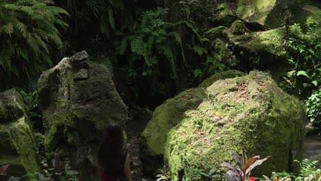 tourist visiting goa gajah excavation site bali indonesia jungle archaeological discovery ancient