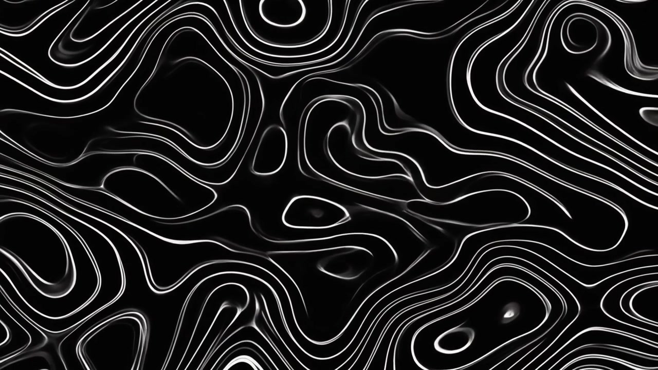 Abstract Monochrome Liquid Flowing Lines Animation