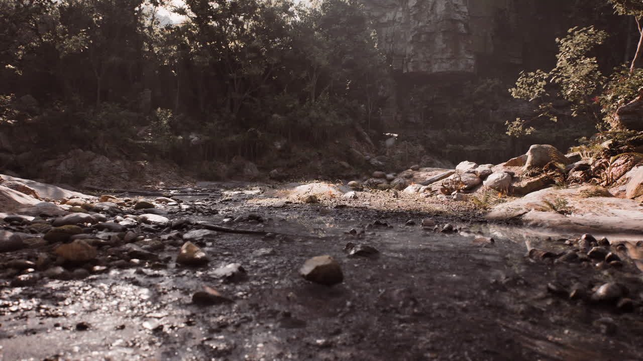 A serene riverbed in madagascar features smooth stones and lush vegetation