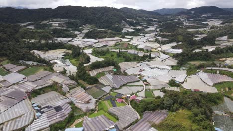general landscape view of the brinchang district within the cameron highlands area of malaysia