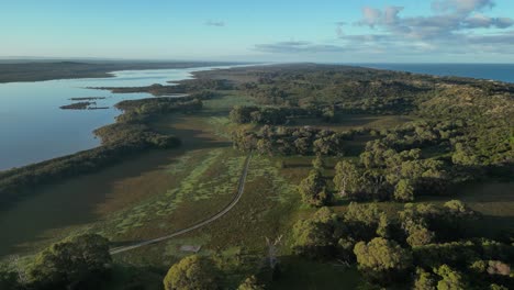 Aerial-flyover-green-landscape-forest-near-lake-at-sunset-time