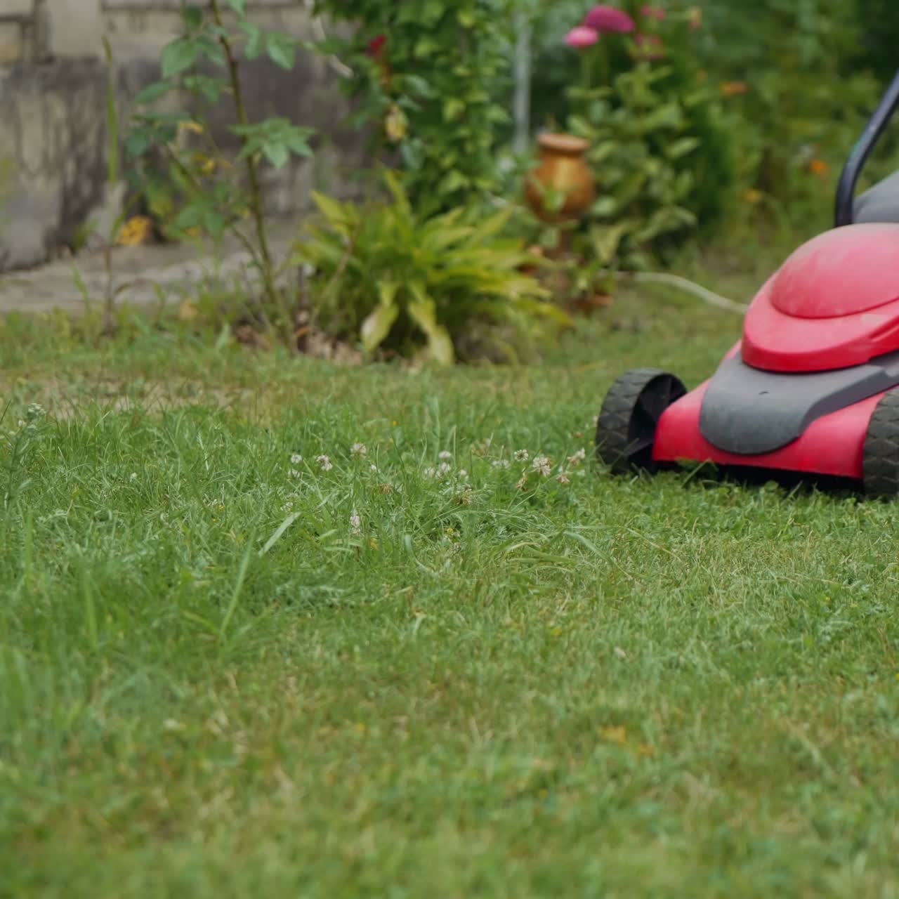 Cutting fresh green grass with lawn mower. Barefoot young girl mowing grass with a lawn mower in garden