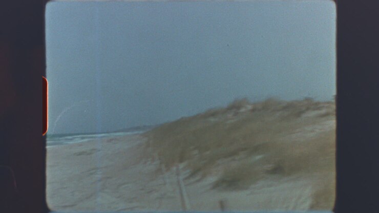 Filmato d'epoca di spiaggia costiera e dune
