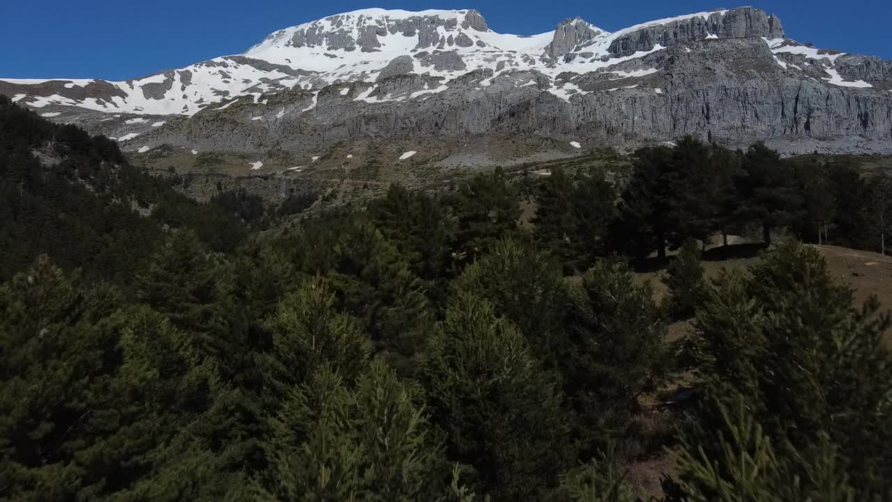 vista aérea pasando cerca de los árboles hacia las montañas nevadas en los pirineos españoles