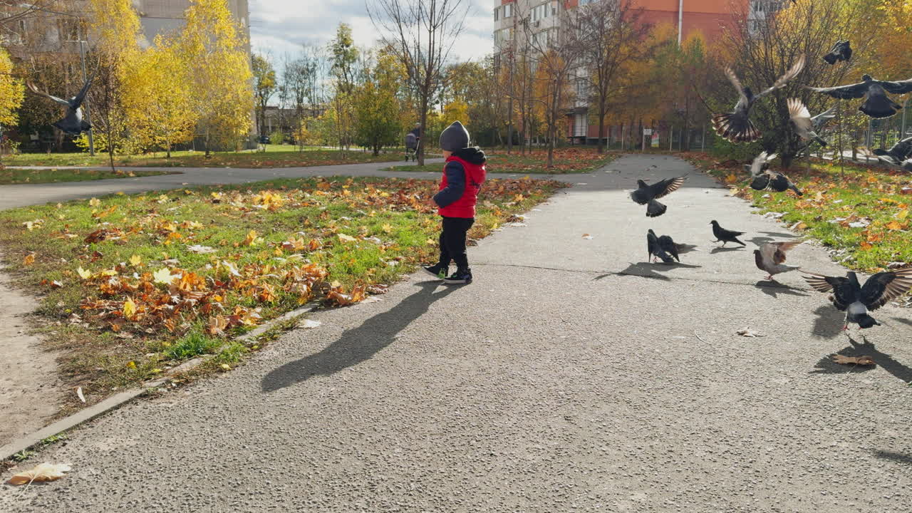 Toddler boy outdoors in sunny autumn. Cheerful kid lumps up to scare off the pigeons.