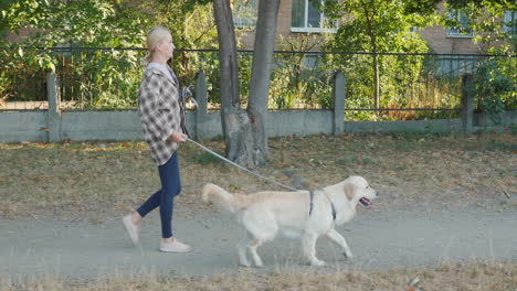 woman walking her golden retriever dog in a park