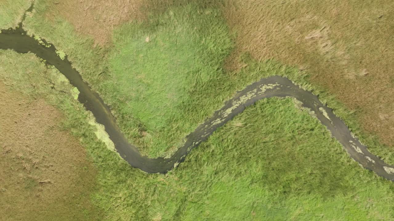 Top-down View Of A Narrow, Winding Stream Flows Through A Lush Field. Aerial Shot