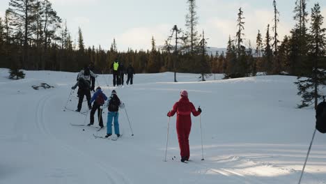 group of cross country skiers going uphill following the track on beautiful hike through the landscape on a sunny winter day in norway