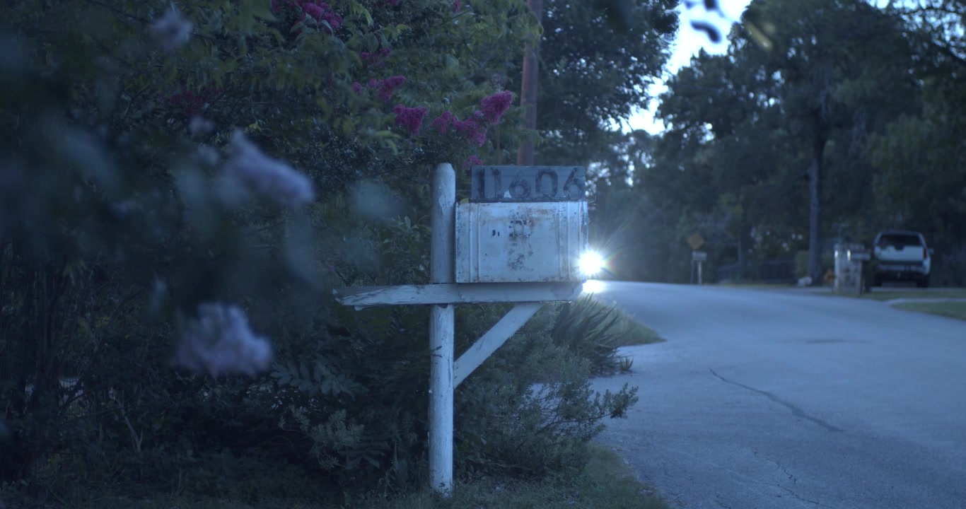 Cinematic roadside footage showing a mailbox surrounded by dense foliage and buddleja plants at dusk, with approaching car headlights glowing in the background to create a moody evening scene.