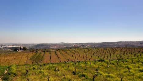 Vuela-Sobre-Las-Granjas-De-Viñedos-En-Las-Colinas-Para-Revelar-Impresionantes-Vistas-Del-Paisaje,-Disparos-De-Drones