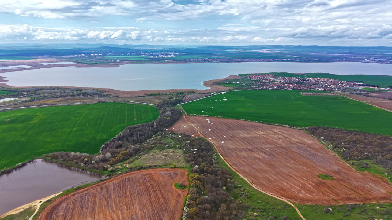 Une volée de pélicans volant au-dessus d'un paysage verdoyant près d'un plan d'eau, avec des champs et des nuages dans le ciel, en plein jour