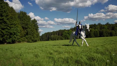 knight on a white horse