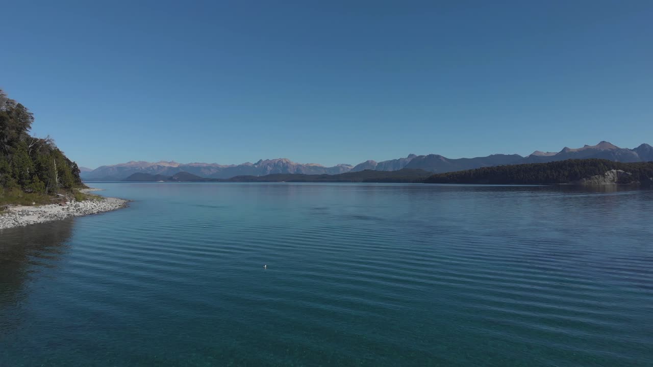 Drone view over a lake with turquoise waters, seagull floating