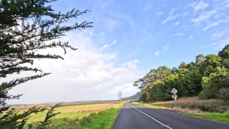 a peaceful drive through lush greenery and open fields