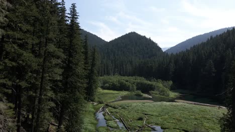 passing between lush evergreen forest to reveal an unspoiled secluded mountain lake, aerial