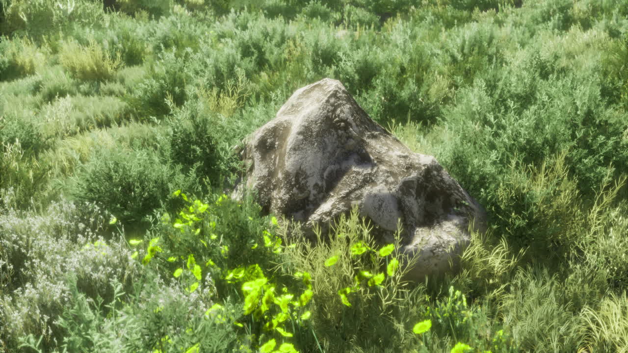 Exploring a serene landscape filled with lush greenery and a solitary rock