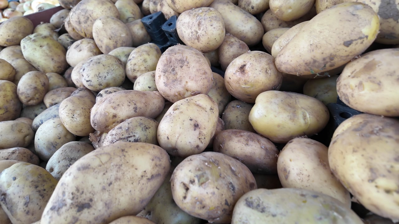 Pile of Unwashed Raw Potatoes at a Market