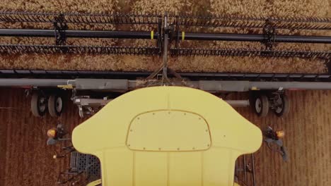 amazing closeup aerial view of a combine harvester collecting wheat on a golden wheat field