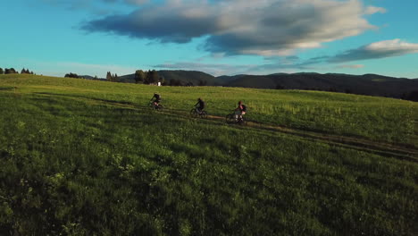 cerrando en los ciclistas de montaña en el sendero de hierba fuera de carretera subiendo la colina