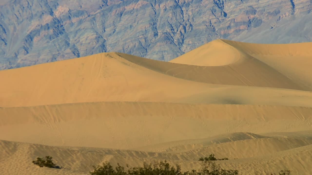 Golden sand dunes in Death Valley National Park, California, USA. Mountain backdrop of rugged blue and purple-toned formations