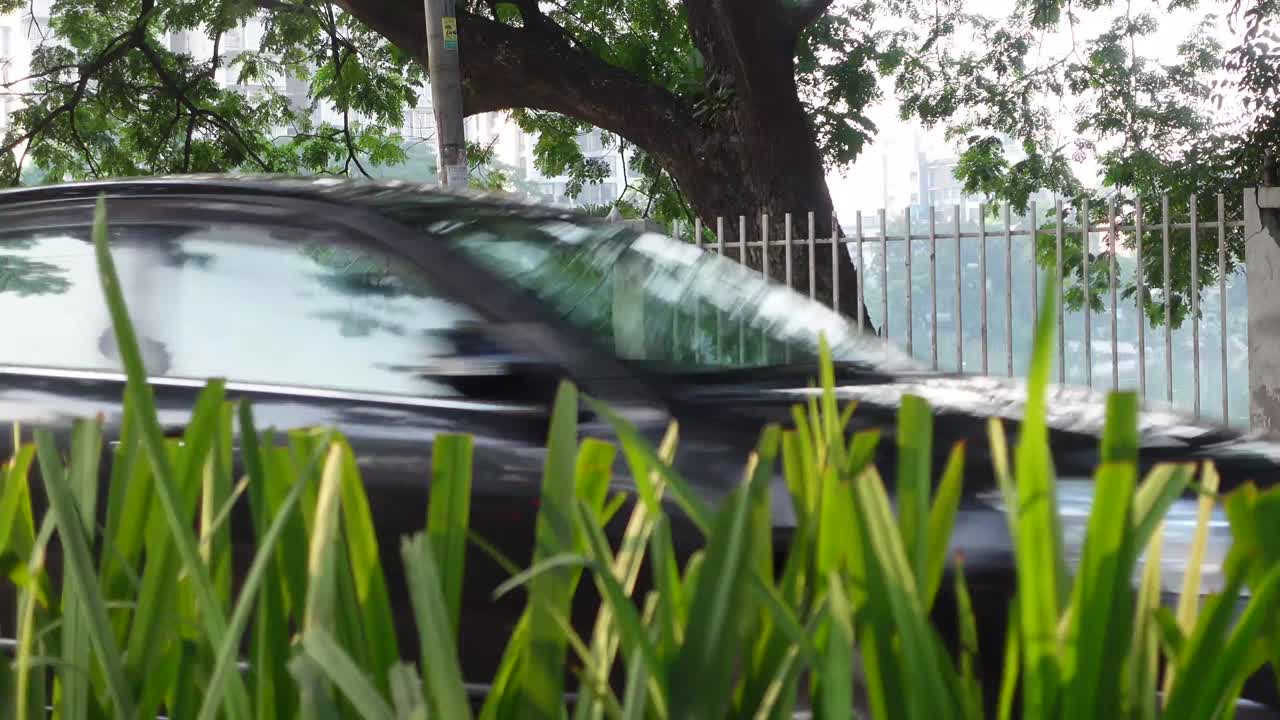 나무 와 풀 이 있는 도시 거리 장면