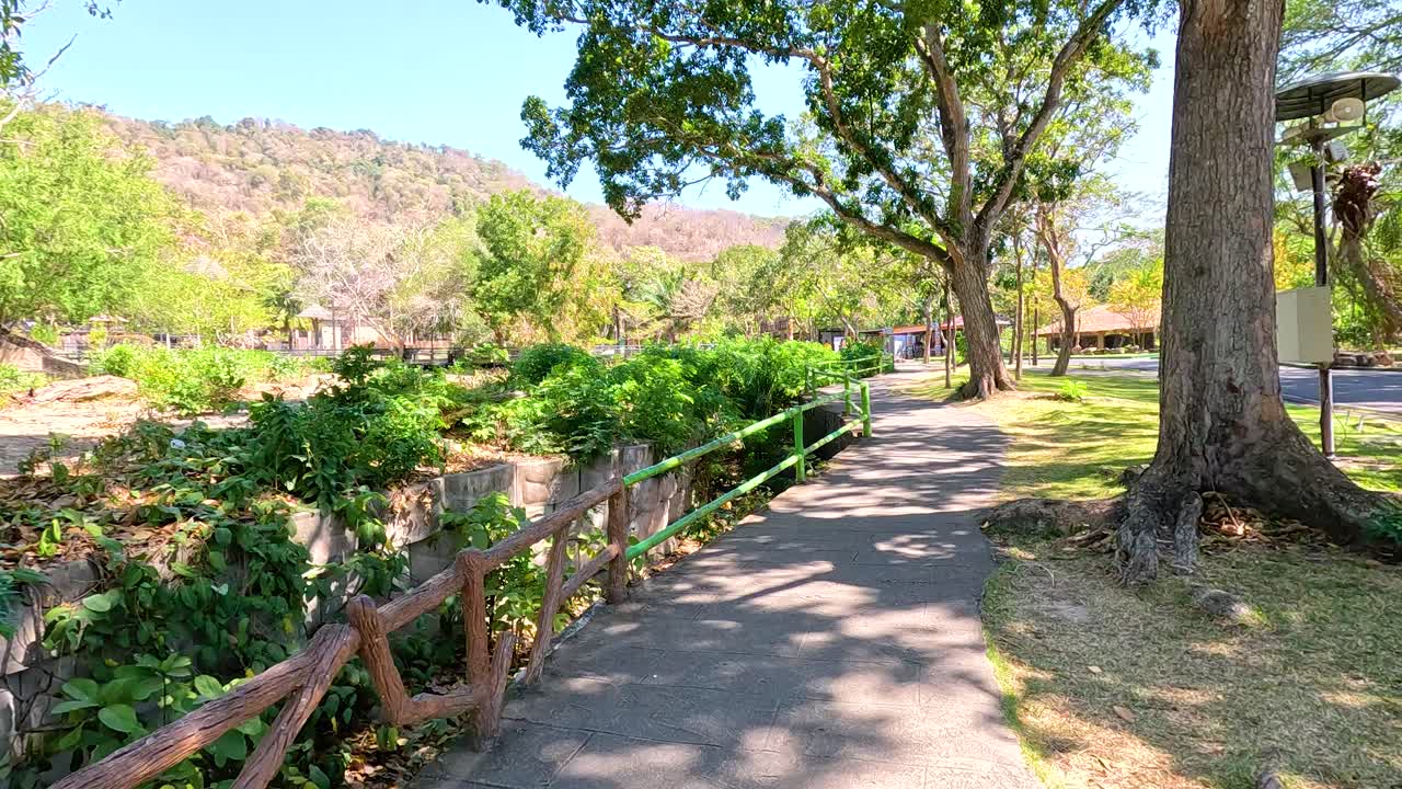 un camino sereno rodeado de exuberante vegetación y árboles bajo la brillante luz del sol en el zoológico abierto de khao kheow, chonburi