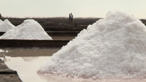 beautiful heaps of salt extracted from the salt pan, in the background three men working in the salt