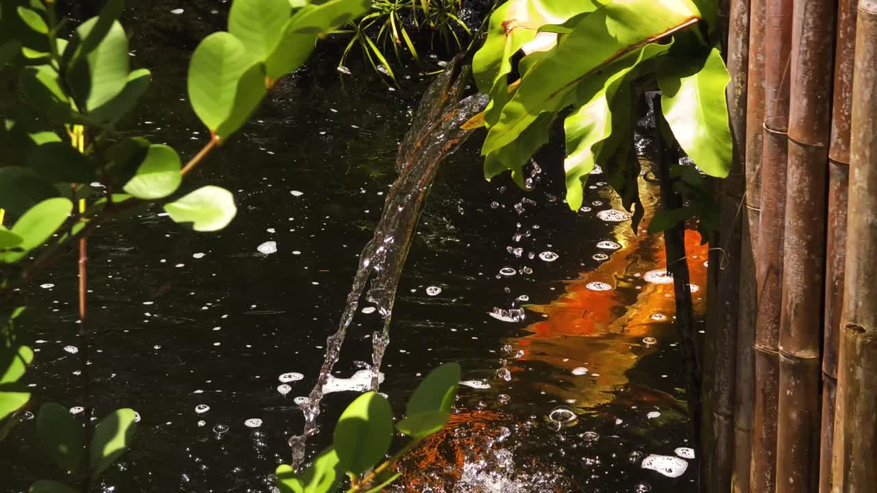 Koi Fish Pond with Fountain
