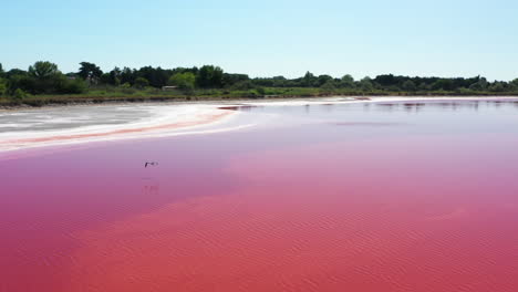 The-historical-town-of-Aigues-Mortes-with-a-bird-flying-away-above-a-pink-salt-lake