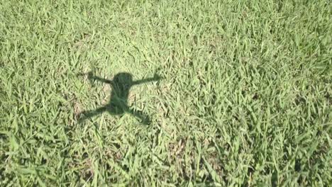 LOW-FLIGHT-AT-PRATT-PARK-IN-NEW-ORLEANS