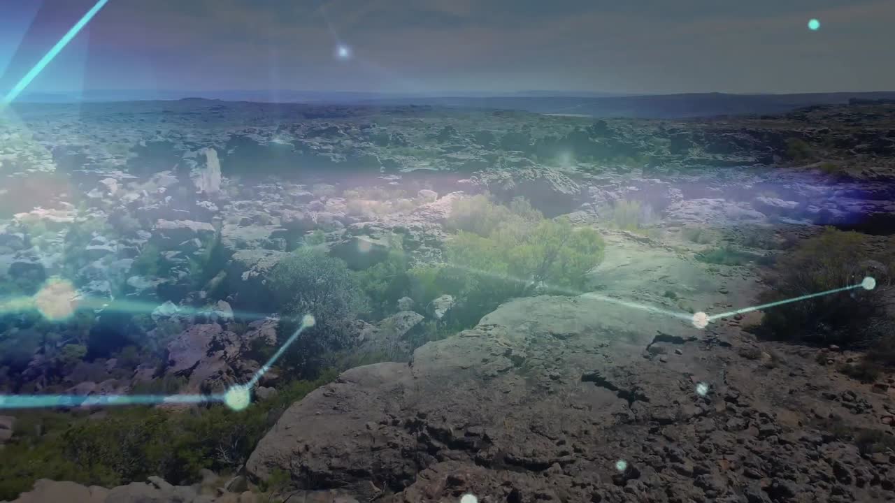 풍경에 대한 연결 네트워크의 활성화