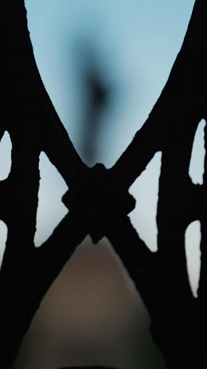 Chisinau, Moldova - June 15, 2025: Stephen the Great statue seen through the out-of-focus curves of a wrought-iron fence. Vertical