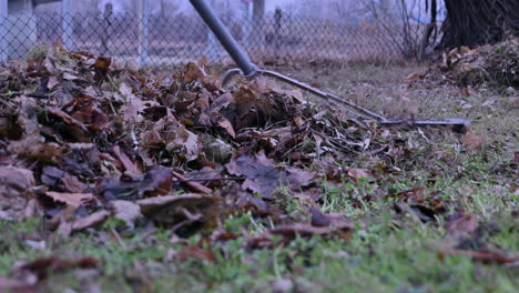 backyard harmony: the art of leaf raking