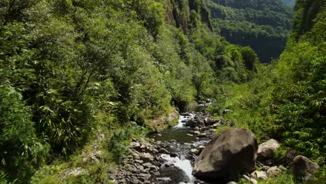 Luftaufnahme-Am-Grund-Einer-Schlucht-Am-Mittag-Auf-Der-Insel-La-Réunion